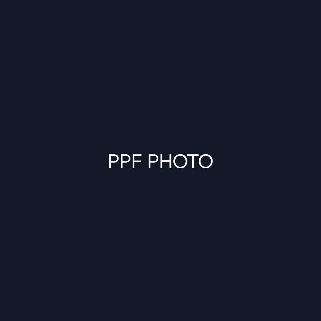 제네시스 G80 마티라 블루, 퀀텀팩토리에서 PPF 시공 후기 사진 1