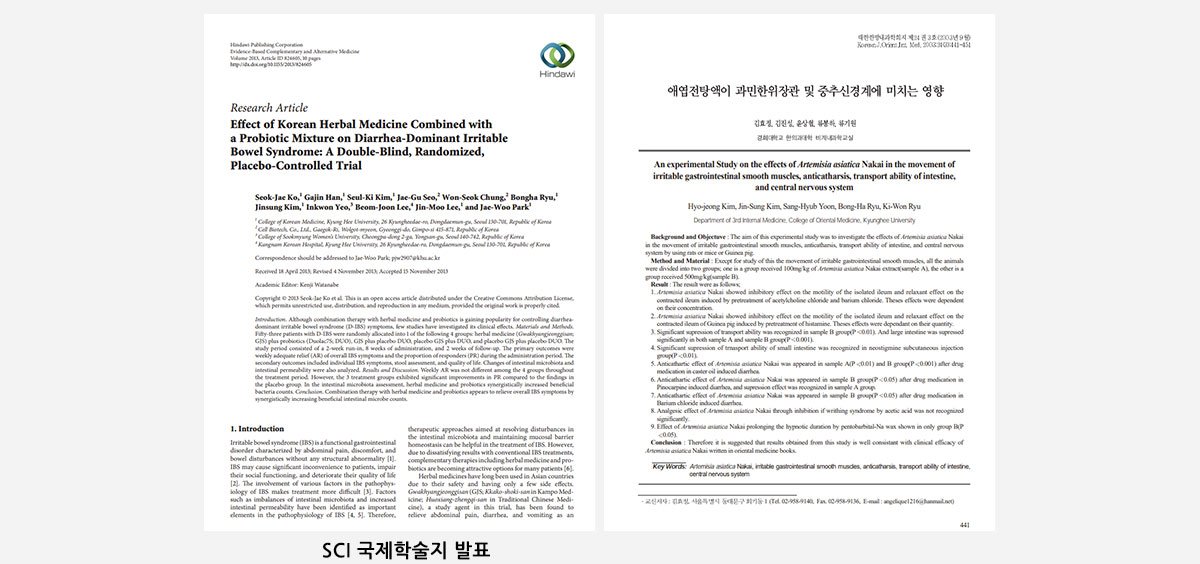 D-IBS 논문 표지 — 캡션: 논문 제목·학회지·연도