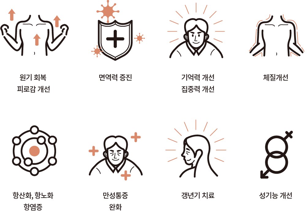 기대할 수 있는 도움
